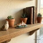 Réplica de la iglesia de Monserrate decorando una repisa de madera junto a plantas suculentas y libros antiguos.