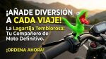 Lagartija temblorosa